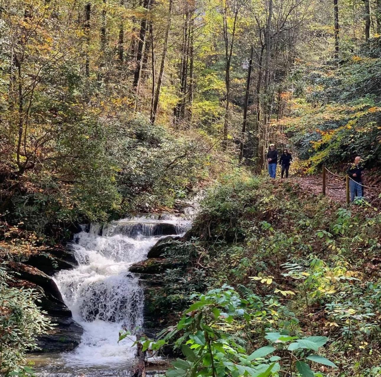 Villa Yoli Bear Hideaway Sevierville Exterior foto